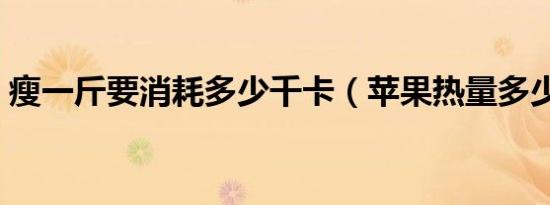 瘦一斤要消耗多少千卡（苹果热量多少千卡）