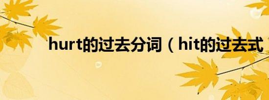 hurt的过去分词（hit的过去式）