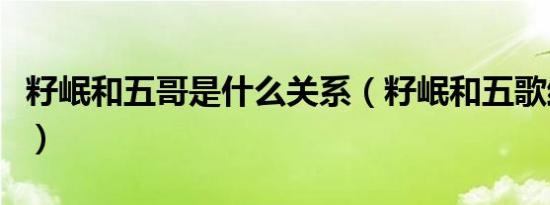 籽岷和五哥是什么关系（籽岷和五歌结婚照片）