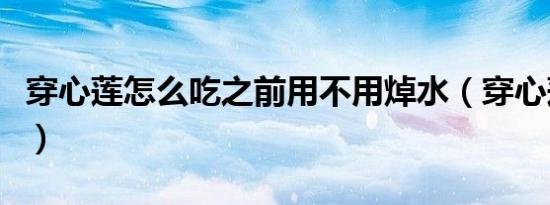 穿心莲怎么吃之前用不用焯水（穿心莲怎么吃）
