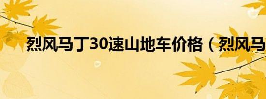 烈风马丁30速山地车价格（烈风马丁）