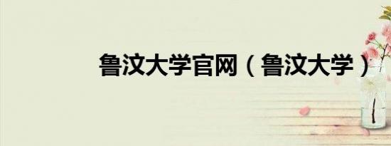 鲁汶大学官网（鲁汶大学）