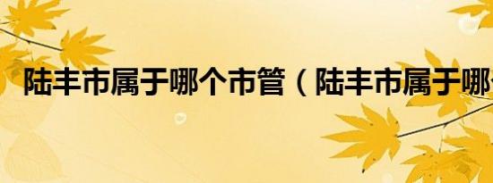 陆丰市属于哪个市管（陆丰市属于哪个市）