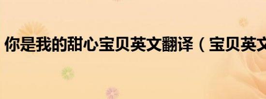 你是我的甜心宝贝英文翻译（宝贝英文翻译）
