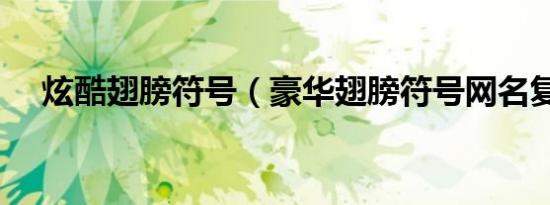 炫酷翅膀符号（豪华翅膀符号网名复制）