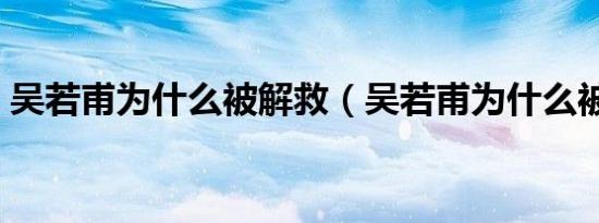 吴若甫为什么被解救（吴若甫为什么被绑架）