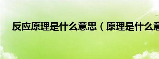 反应原理是什么意思（原理是什么意思）