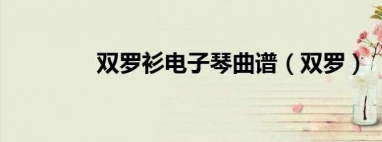 双罗衫电子琴曲谱（双罗）