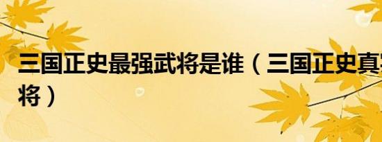 三国正史最强武将是谁（三国正史真实最强武将）