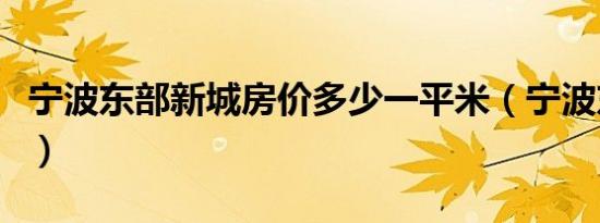 宁波东部新城房价多少一平米（宁波东部新城）