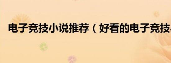 电子竞技小说推荐（好看的电子竞技小说）