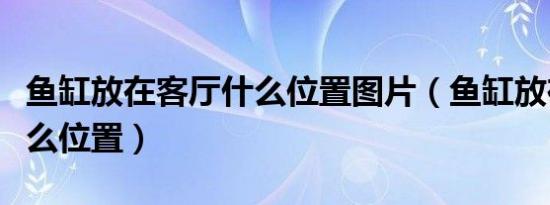鱼缸放在客厅什么位置图片（鱼缸放在客厅什么位置）