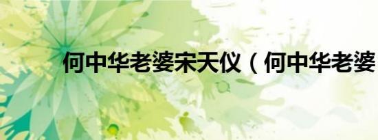 何中华老婆宋天仪（何中华老婆）