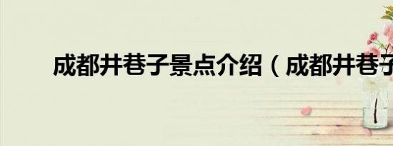 成都井巷子景点介绍（成都井巷子）