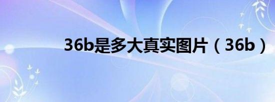 36b是多大真实图片（36b）