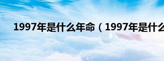 1997年是什么年命（1997年是什么年）