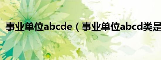 事业单位abcde（事业单位abcd类是什么）