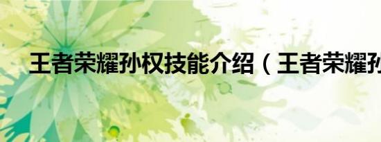 王者荣耀孙权技能介绍（王者荣耀孙权）