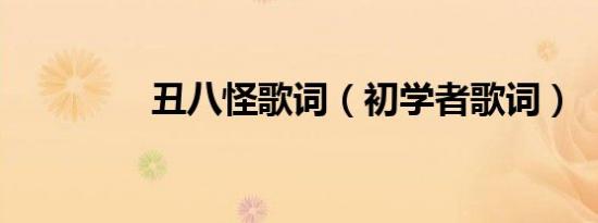 丑八怪歌词（初学者歌词）