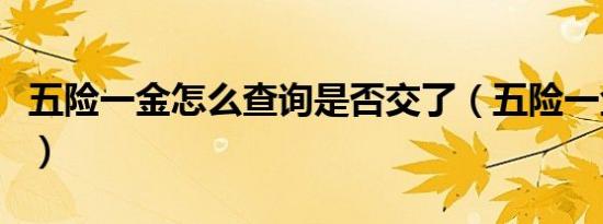 五险一金怎么查询是否交了（五险一金怎么查）