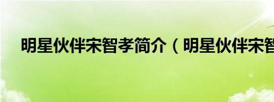 明星伙伴宋智孝简介（明星伙伴宋智孝）