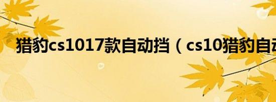 猎豹cs1017款自动挡（cs10猎豹自动挡）