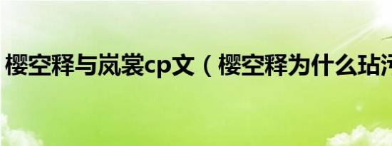 樱空释与岚裳cp文（樱空释为什么玷污岚裳）