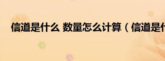 信道是什么 数量怎么计算（信道是什么）