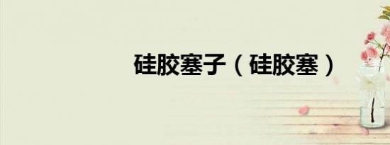 硅胶塞子（硅胶塞）