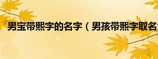 男宝带熙字的名字（男孩带熙字取名大全）
