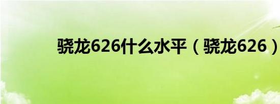 骁龙626什么水平（骁龙626）