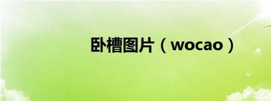 卧槽图片（wocao）