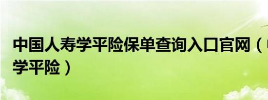 中国人寿学平险保单查询入口官网（中国人寿学平险）