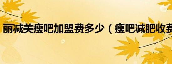丽减美瘦吧加盟费多少（瘦吧减肥收费明细）