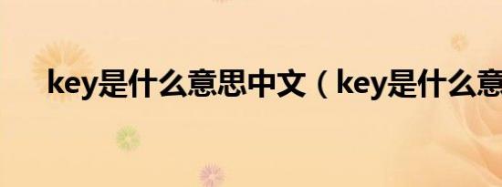 key是什么意思中文（key是什么意思）