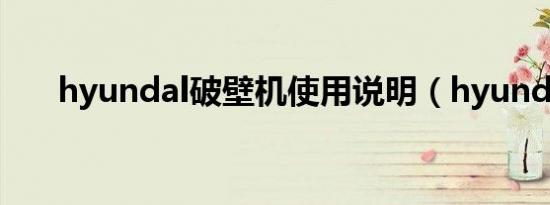 hyundal破壁机使用说明（hyundal）