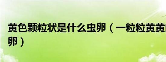 黄色颗粒状是什么虫卵（一粒粒黄黄的是什么卵）