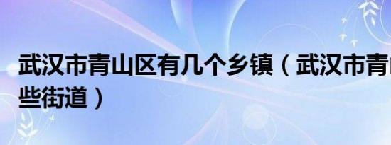 武汉市青山区有几个乡镇（武汉市青山区有哪些街道）