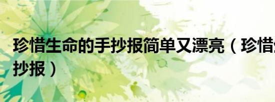珍惜生命的手抄报简单又漂亮（珍惜生命的手抄报）