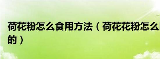 荷花粉怎么食用方法（荷花花粉怎么吃才是对的）