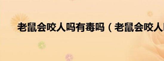 老鼠会咬人吗有毒吗（老鼠会咬人吗）