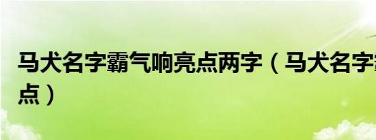 马犬名字霸气响亮点两字（马犬名字霸气响亮点）