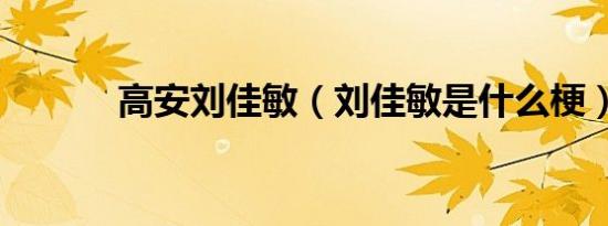 高安刘佳敏（刘佳敏是什么梗）