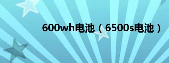 600wh电池（6500s电池）