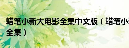 蜡笔小新大电影全集中文版（蜡笔小新大电影全集）