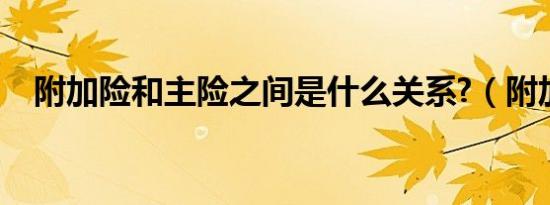 附加险和主险之间是什么关系?（附加险）