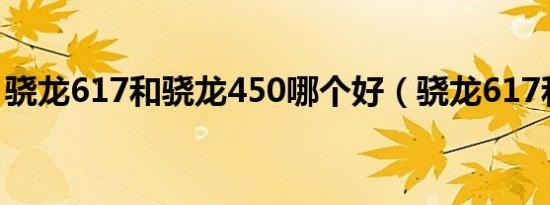 骁龙617和骁龙450哪个好（骁龙617和625）