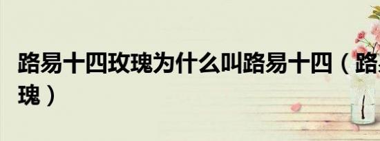 路易十四玫瑰为什么叫路易十四（路易十四玫瑰）