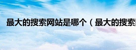最大的搜索网站是哪个（最大的搜索网站）