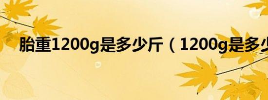 胎重1200g是多少斤（1200g是多少斤）